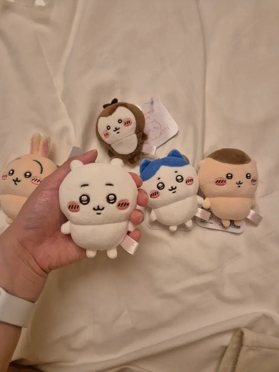 thumbnail-1